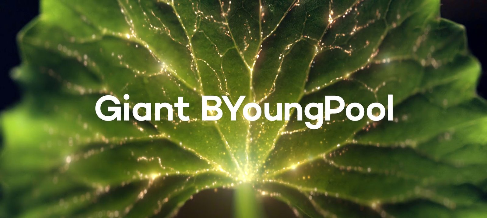 GiantBYoungPoolHeader GiantBYoungPoolHeader